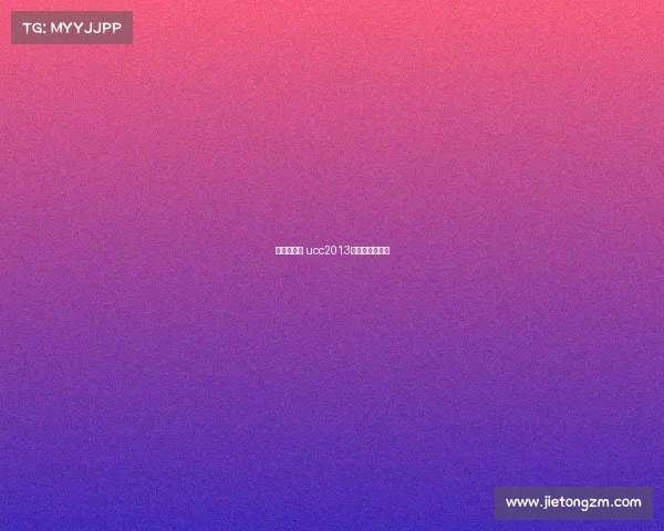 赛事环京赛 ucc2013款环京赛纪念版